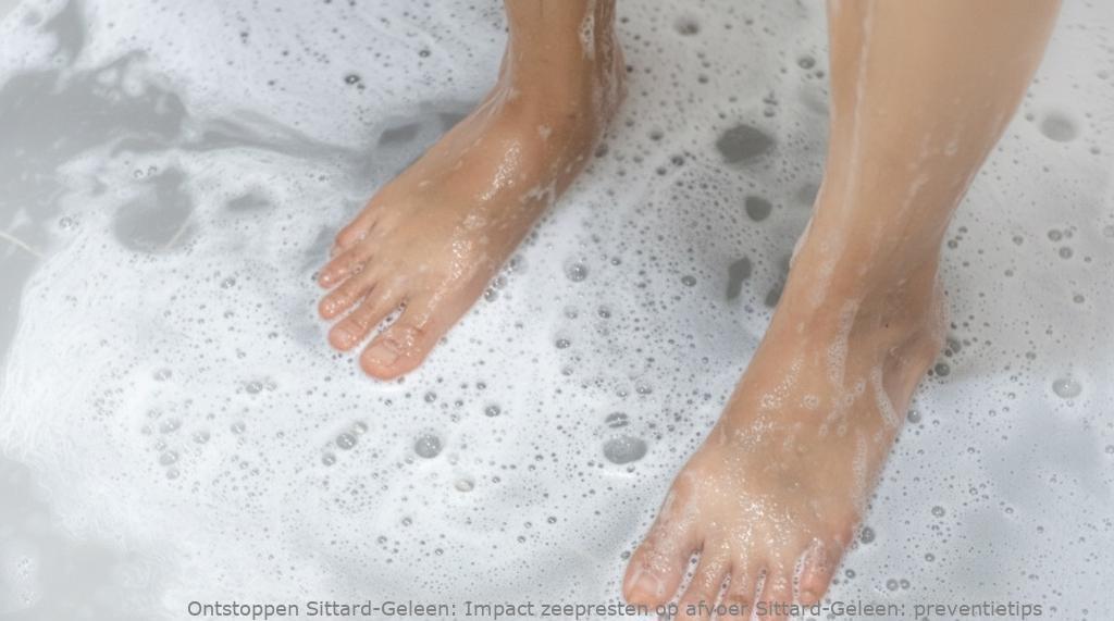 Impact zeepresten op afvoer Sittard-Geleen: preventietips
