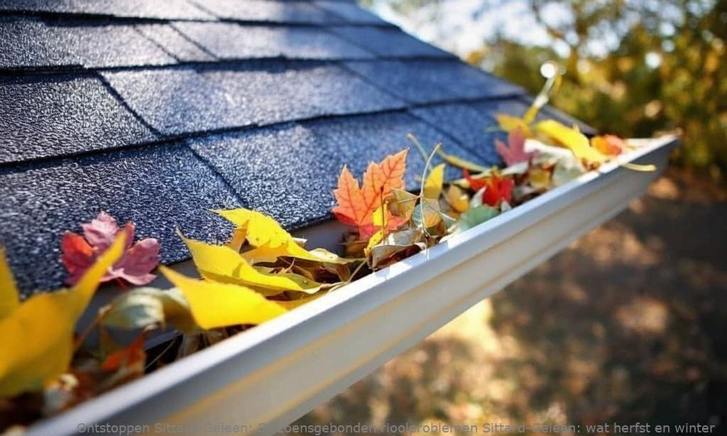 Seizoensgebonden rioolproblemen Sittard-Geleen: wat herfst en winter doen