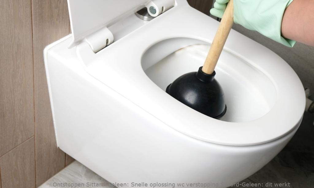 Snelle oplossing wc verstopping Sittard-Geleen: dit werkt